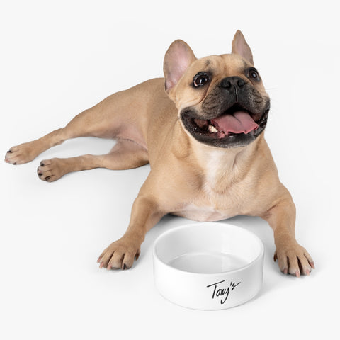 Image of Pet Bowl
