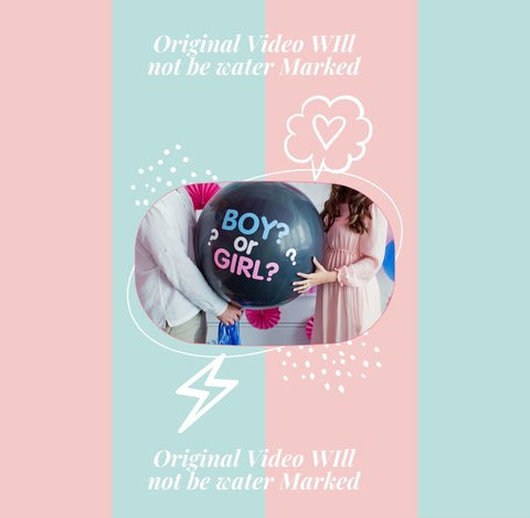 Image of Gender Reveal Video It's a Boy! OR Girl! Video Card Digital Pregnancy Announcement Video For Social Media | Instant download