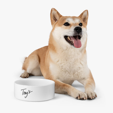 Image of Pet Bowl
